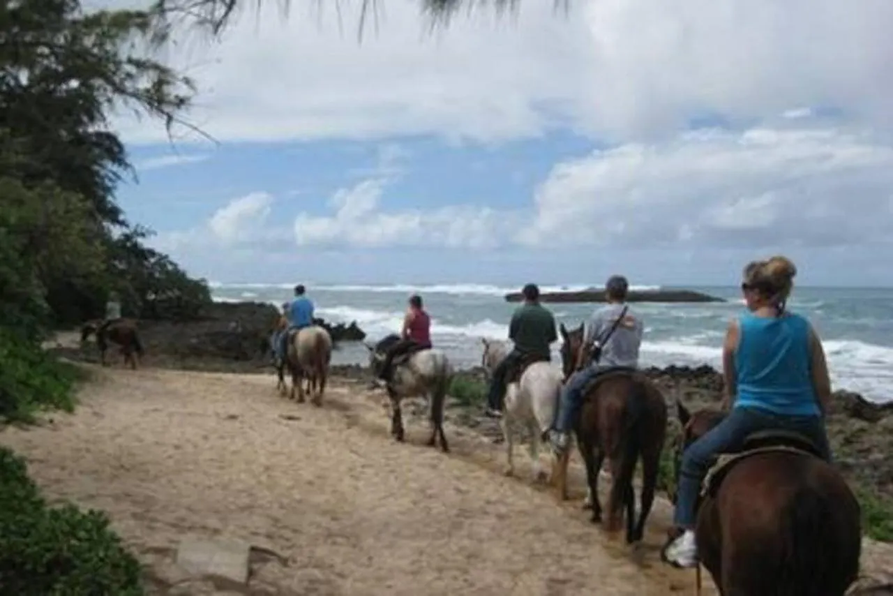 The Perfect Family Destination Villa Kahuku Holiday home